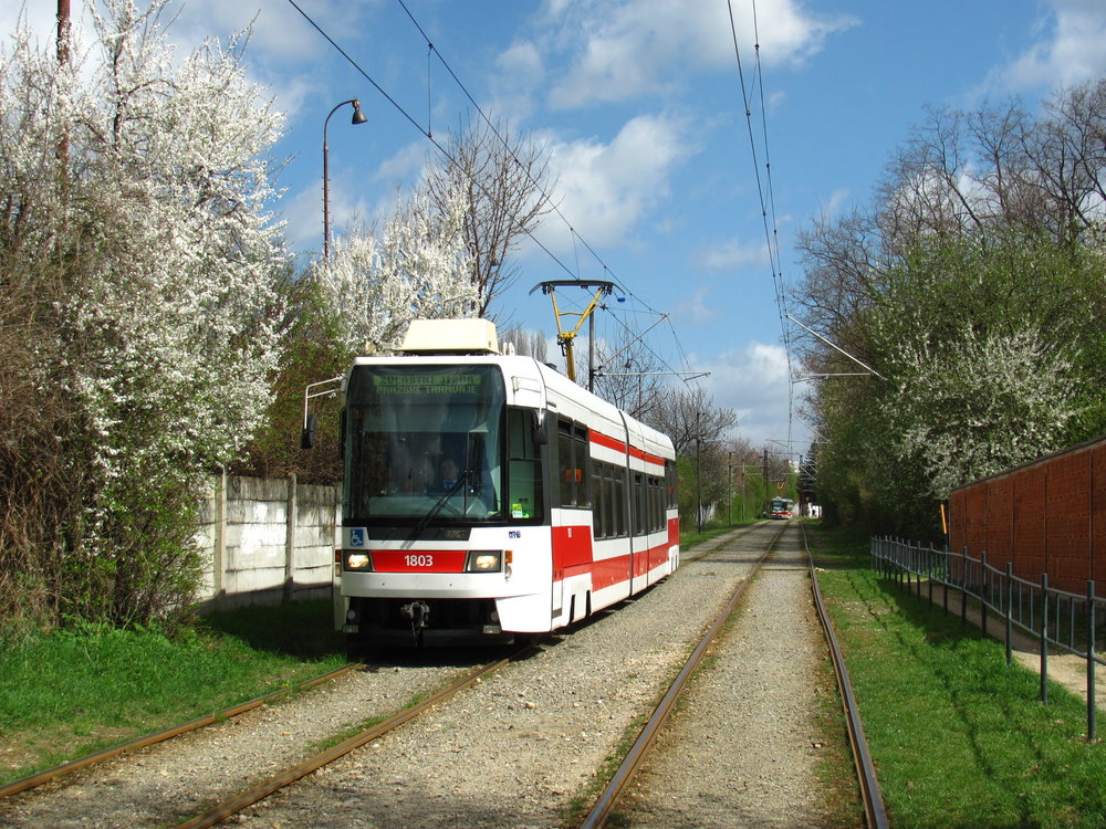 Poslední vozy RT6N1 v Brně byly častým objektem zájmu nadšenců z celé republiky. Snímek vozuev. č. 1803 byl dne 9. 4. 2011 pořízen při jízdě k 10. výročí stránek www.prazsketramvaje.cz. (foto: Ing. Filip Jiřík)