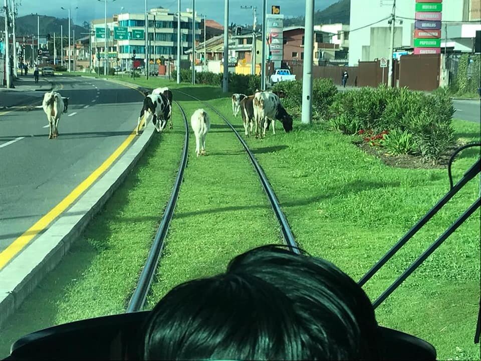 Projekt nabral značné zpoždění - k otevření došlo 5 let po původním plánu. Nyní už nabírají zpoždění jen samotné tramvaje. (foto: Tranvía Cuenca)