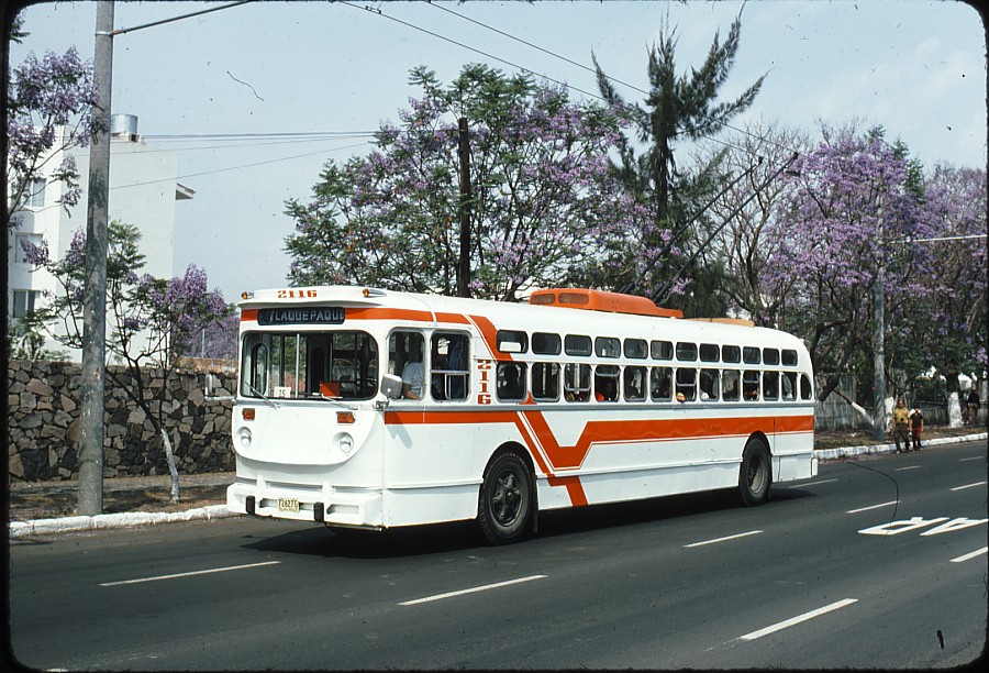 Trolejbus na severozápadě města, jmenovitě na třídě Manuel Ávila Camacho, dne 4. 11. 1977. (zdroj: kolekce Stephena Scalza / Scalzo Collection)