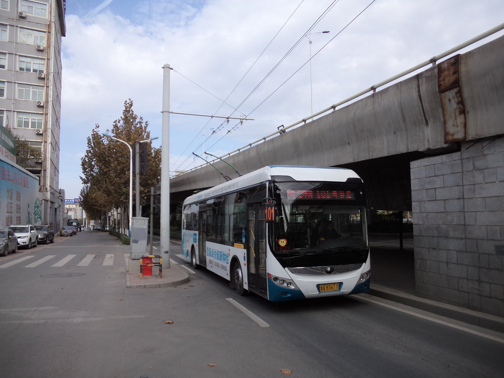 Trolejbus linky č. 101 má svou východní konečnou o několik set metrů více na sever než linka č. 102. Konečná linky č. 101 je na snímku schována za alejí stromů a je řešena jako obyčejná zastávka, jelikož v tomto místě opisuje trolejbus blokovou smyčku, avšak trolej této smyčky je částečně sdílena s linkami č. 102 a 103. 