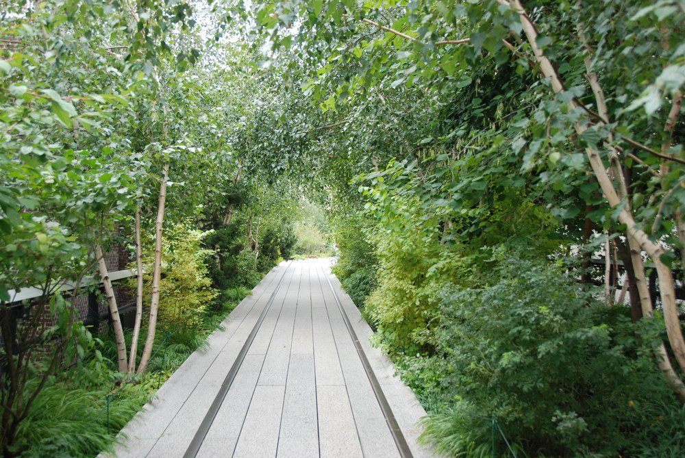 Ztracená trať v džungli? Kdepak. Jste stále uprostřed jednoho z nejrušnějších měst na světě, několik metrů nad zemským povrchem. Vítejte na High Line v New Yorku. (foto: Libor Hinčica)