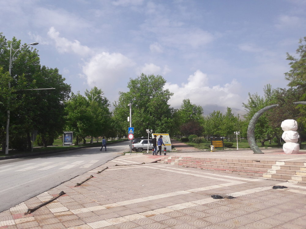  Mezi pátou a šestou zastávkou v kampusu. Hlavní promenáda v areálu trolejbusovou trať kříží.  