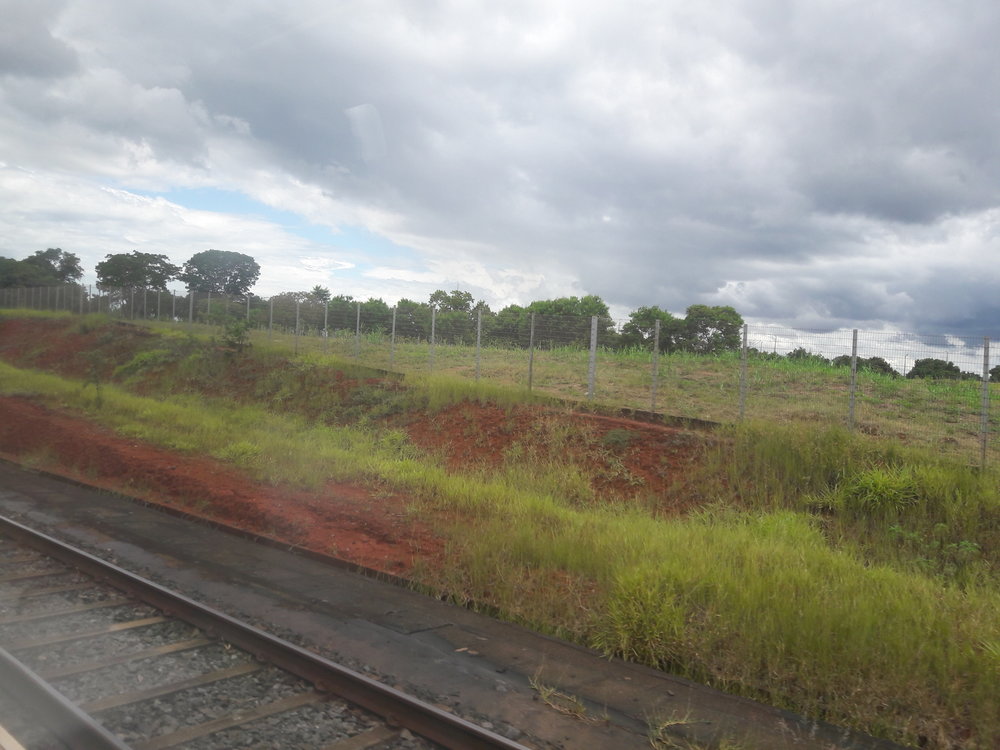 Pohled z vlaku na sdílené trati.