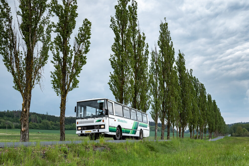 Plzeňský kraj patří mezi trojici krajů s nejmenší hustotou zalidnění v ČR na kilometr čtvereční. I díky tomu se může pyšnit nádhernými scenériemi a nezničenou přírodou. Pod jednou z alejí topolů pózuje poslední provozní autobus Karosa C 734 v původním provedení. (foto: Honza Tran)