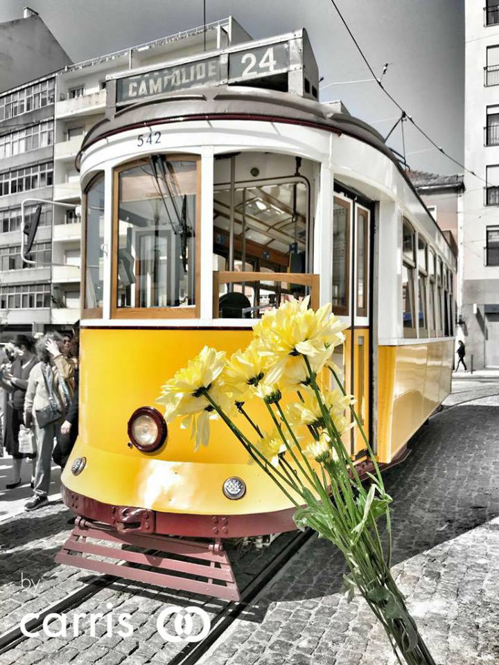 Dopravce se pochlubil návratem linky č. 24. (foto: Carris)