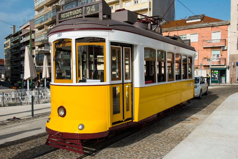 Ještě dva snímky žlutých krasavic. (foto: 2x Câmara Municipal de Lisboa)