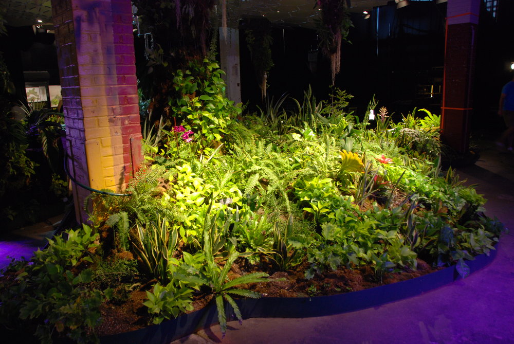 Ještě jeden pohled na zelenající se záhony v rámci Low Line Lab. (foto: Libor Hinčica)