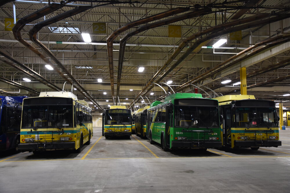 Šotoušský projekt na záchranu jednoho z těchto krasavců se dostal na stránky prestižního Forbesu. (foto: Libor Hinčica)