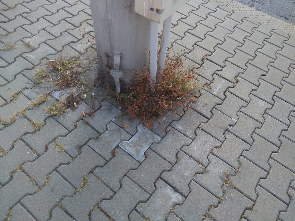 Nedopalků je na zastávkách MHD v Ostravě skutečně mnoho, toto je ještě ta lepší ukázka. Některé zastávky dokonce připomínají smetiště, což je třeba příklad Dolu Heřmanice. (foto z 28. 9. 2019)