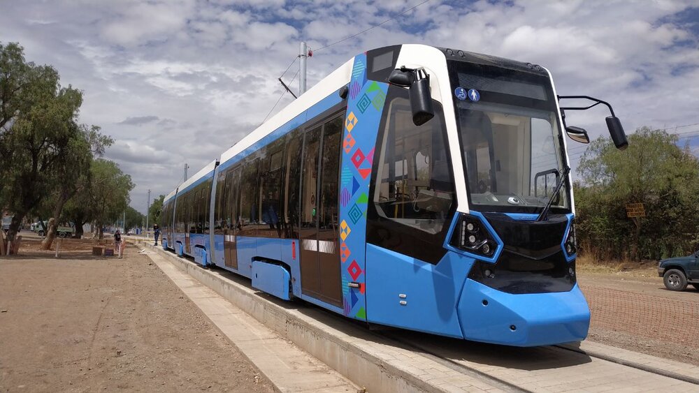 Složený bolivijský čižik. (foto: Stadler)
