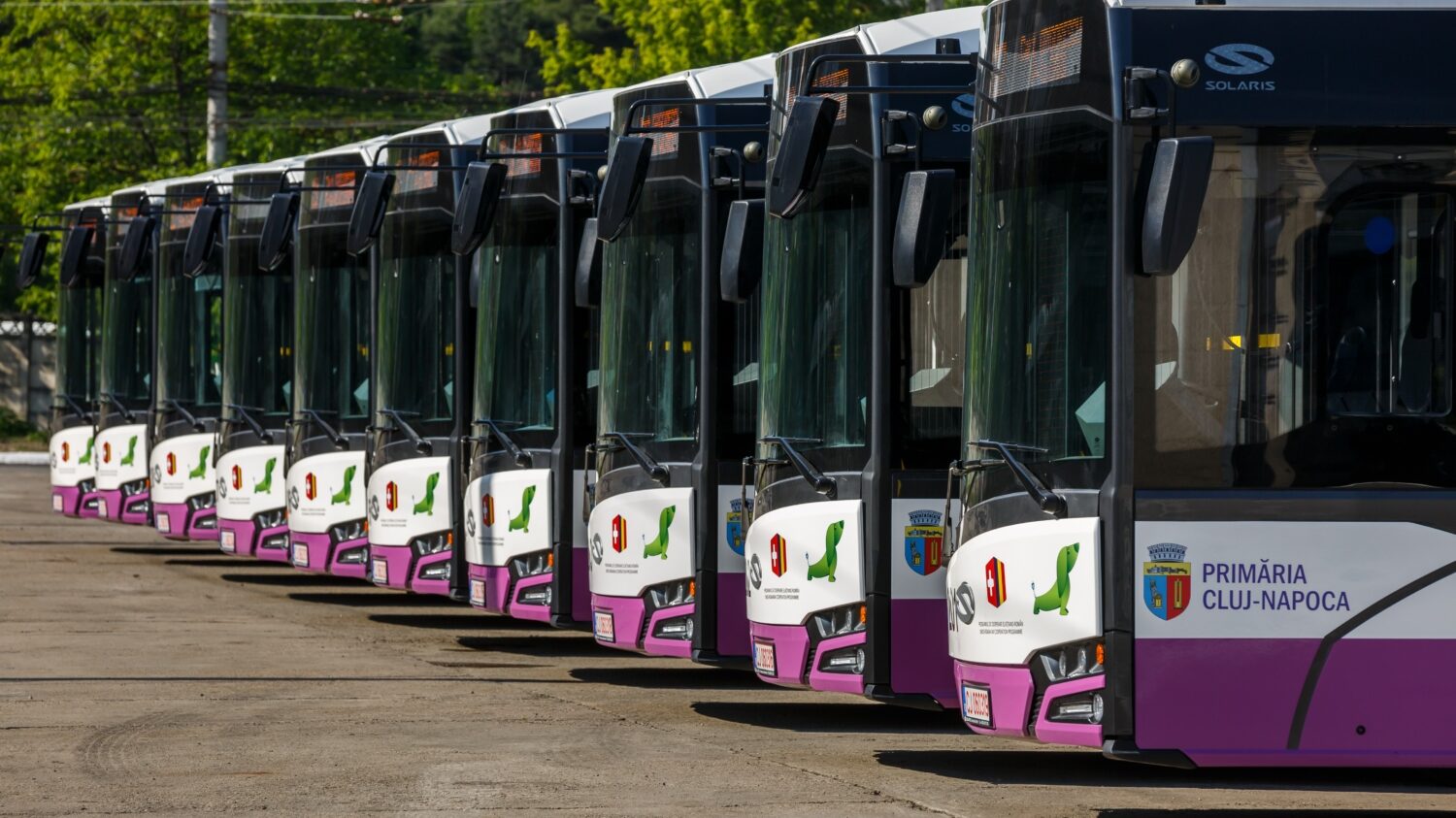 12m elektrobusy v Kluži. (foto: Solaris Bus & Coach)