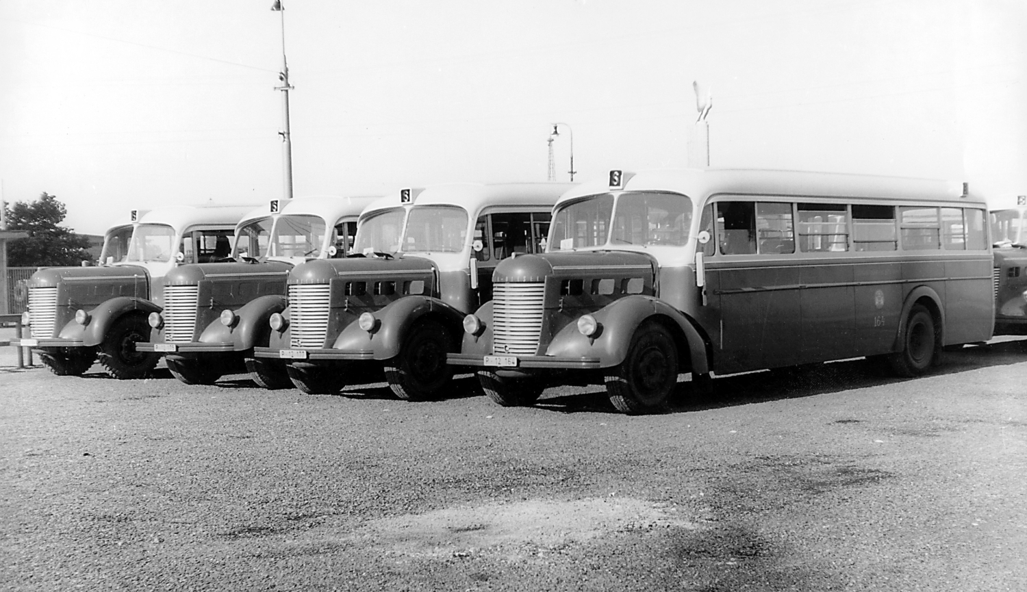 Patrně nejznámější snímek s autobusy Praga NDO v Praze u strahovského stadionu v roce 1948. (sbírka: archiv DPP)
