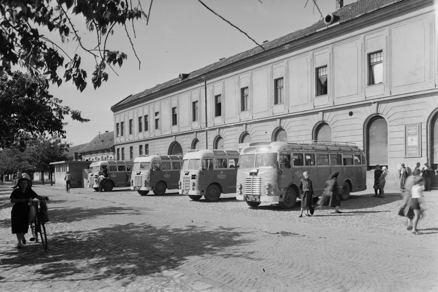 V Moháči před nádražím zachycená flotila autobusů Ikarus 30 v 50. letech. (foto: Wikipedia.org)